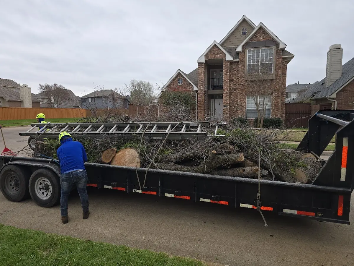 Expert Tree Fertilization with proper safety equipment in Parsons